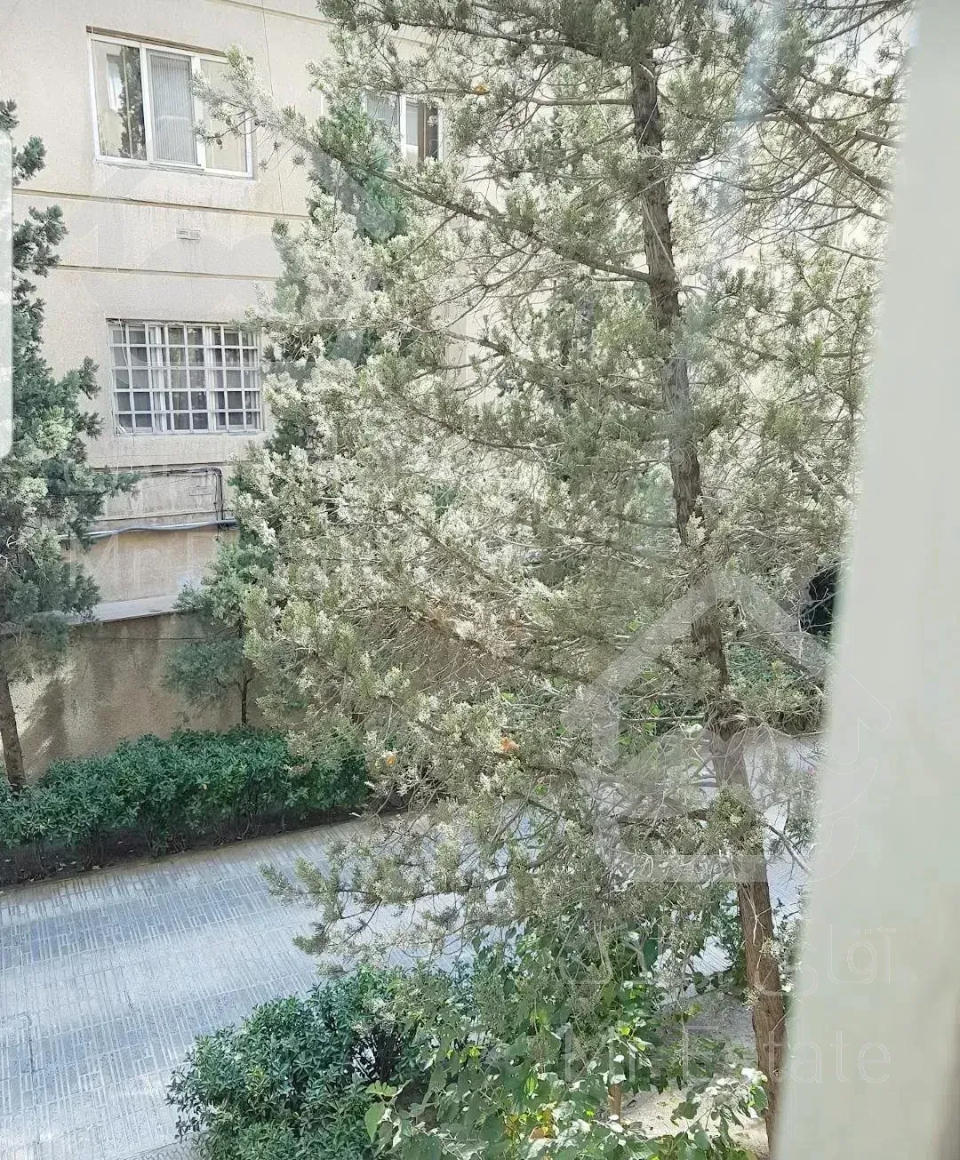 خیابان الوند 114 متر 2 خواب امکانات کامل قدرالسهم