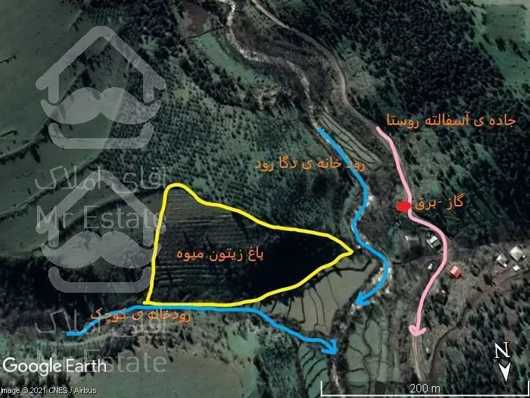 *باغ زیتون ومیوه در کنار رود  * بهشت گیلا ن*