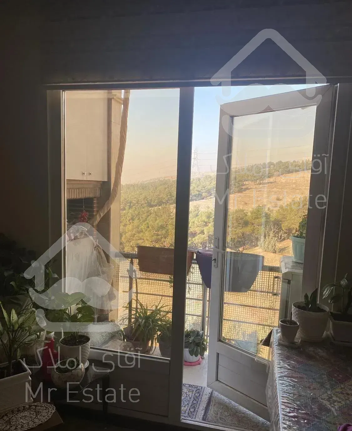 اپارتمان ویو جنگل ابدی