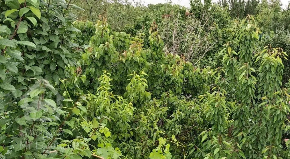 باغ ویلا قلعه فرامرزیه خوشنام