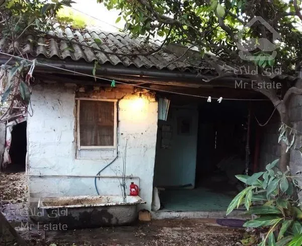 متلقو تاز اباد گلستان ۳