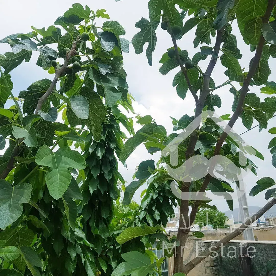 فروش ویلا باغ 755 متر