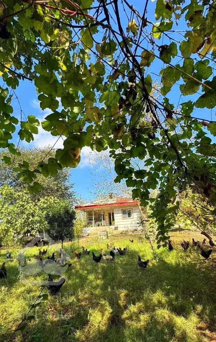 ۱۰۰۰ متر خانه محوطه جنگلی روستایی بنای شیک