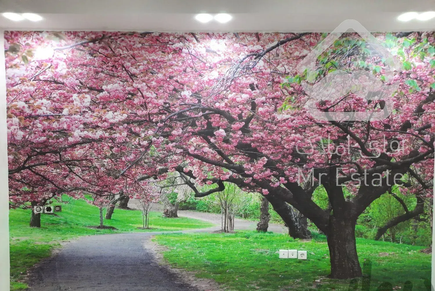 نصب کاغذ دیواری  و پوستر