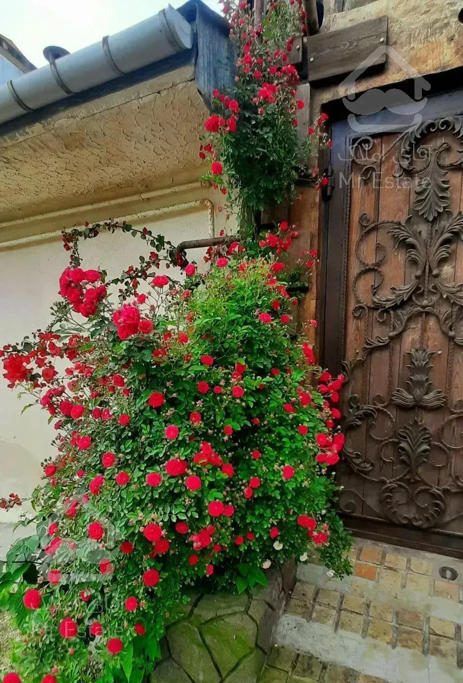 ویلا چوبی جنگلی با آبشار داخل سالن پذیرایی