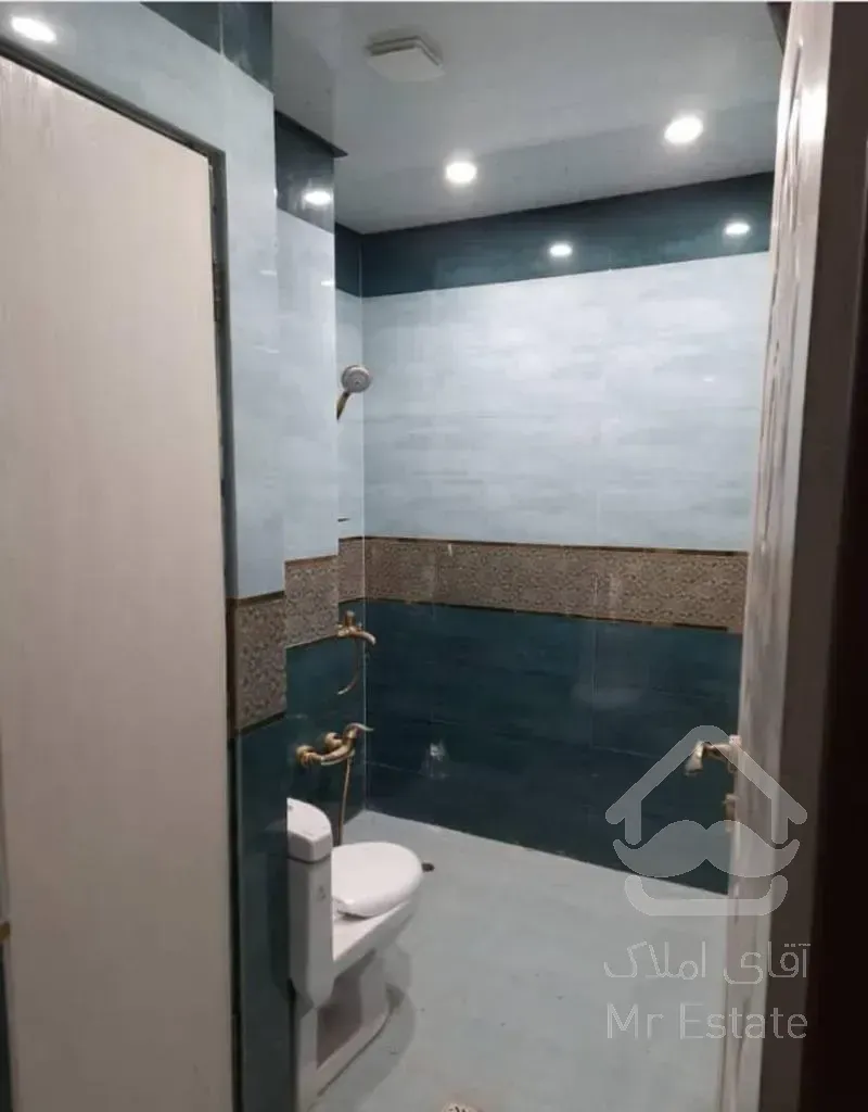 فروش 160 متر دولت