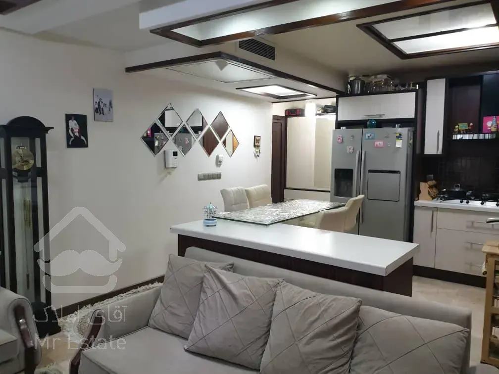 فروش 88 متری دولت