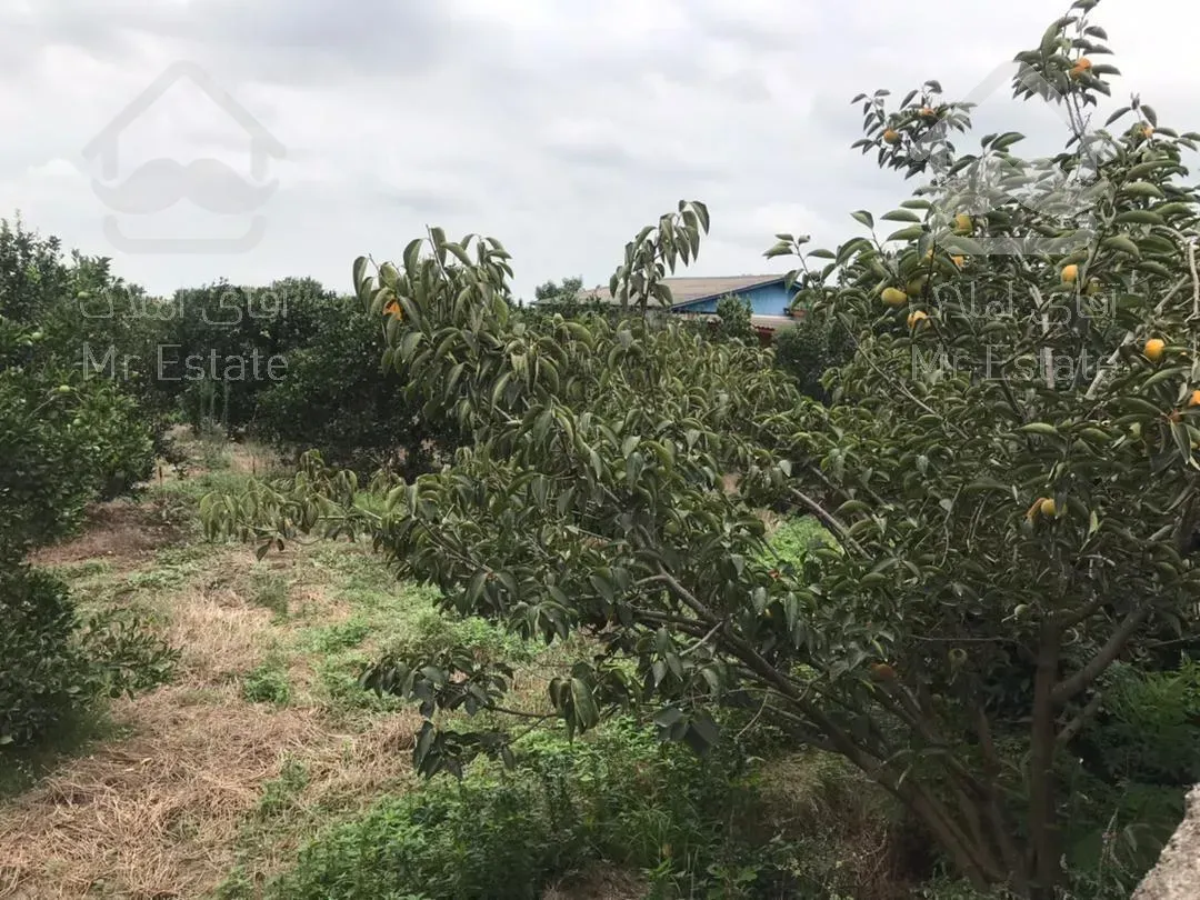 باغ 500مترمربع. محصور. غیربومی. قابل ساخت