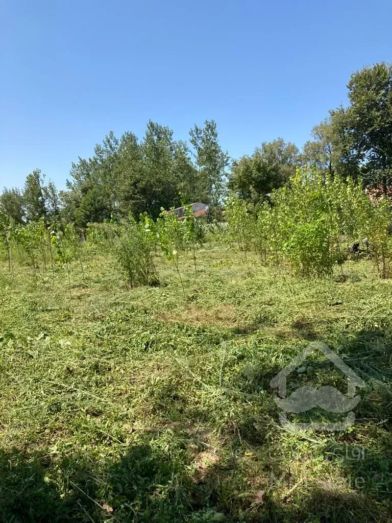 فروش زمین ۱۵۱۰متری در فاصله ی ۱۰دقیقه ی رشت