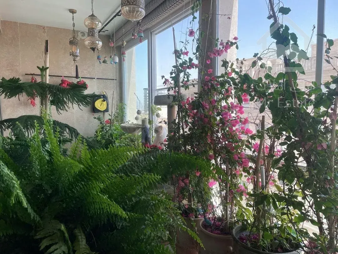 فروش اپارتمان 230 متری و.لنجک