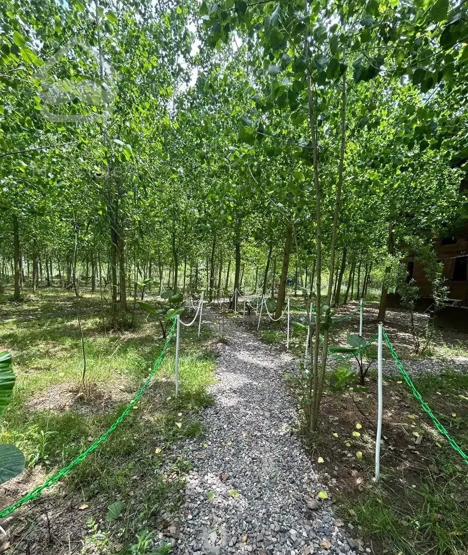 اقامت در رویایی ترین منطقه ایران