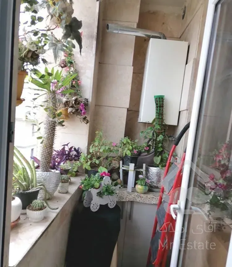 ۸۱ متر قصرالدشت،دامپزشکی