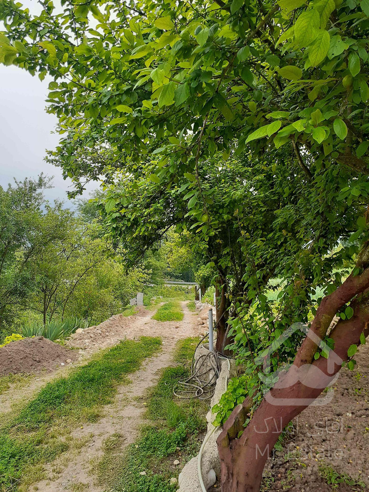 ویلا و باغ در مازندران، ساری، روستای ورند