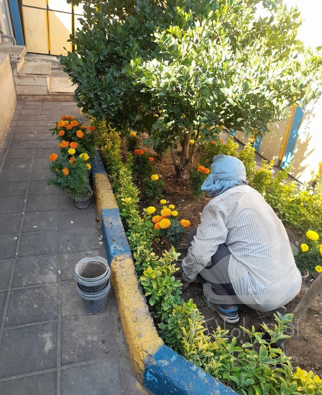 خدمات باغی و طراحی و کاشت فضای سبز و محوطه سازی