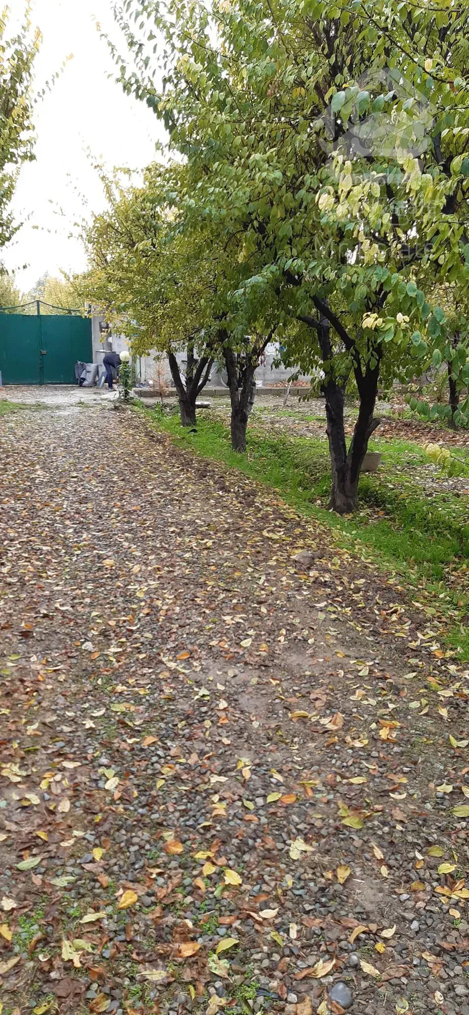 باغ ویلا 4000 متری  بسیار دیدنی در رویایی ترین منطقه کردان