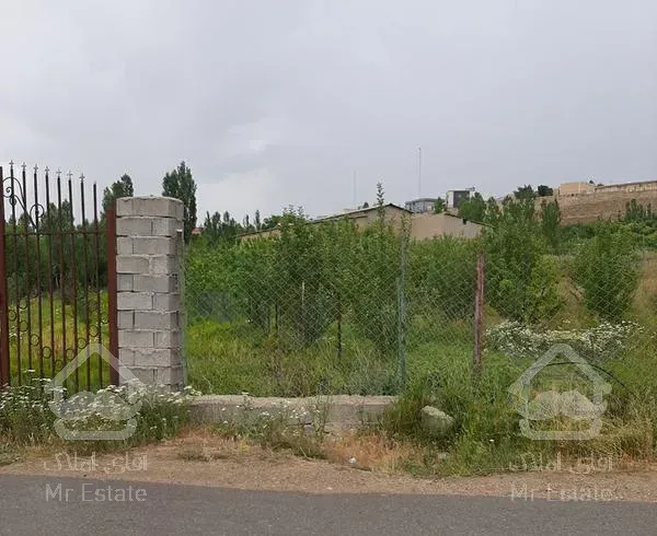 باغ بر یک کلفور درختد۱۵ ساله