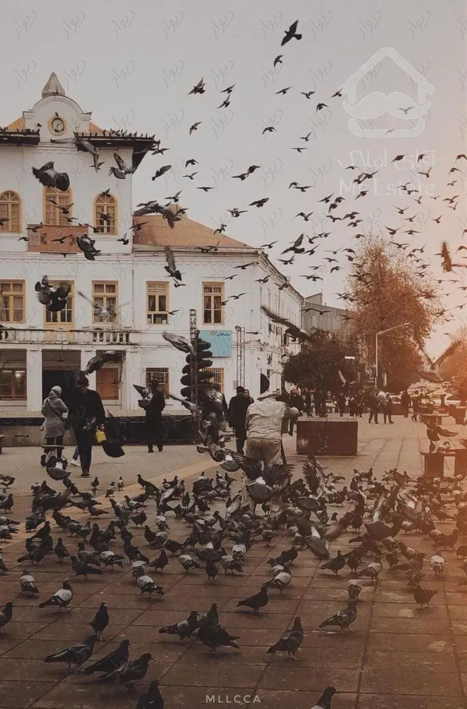 اجاره سوئیت در باغ‌میشه