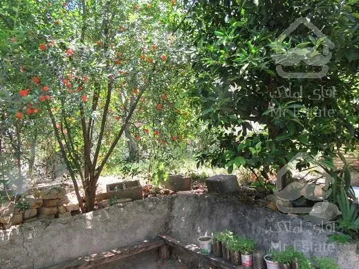 *ویلا باغ 300 متری 3 خوابه  *شمال گیلان *