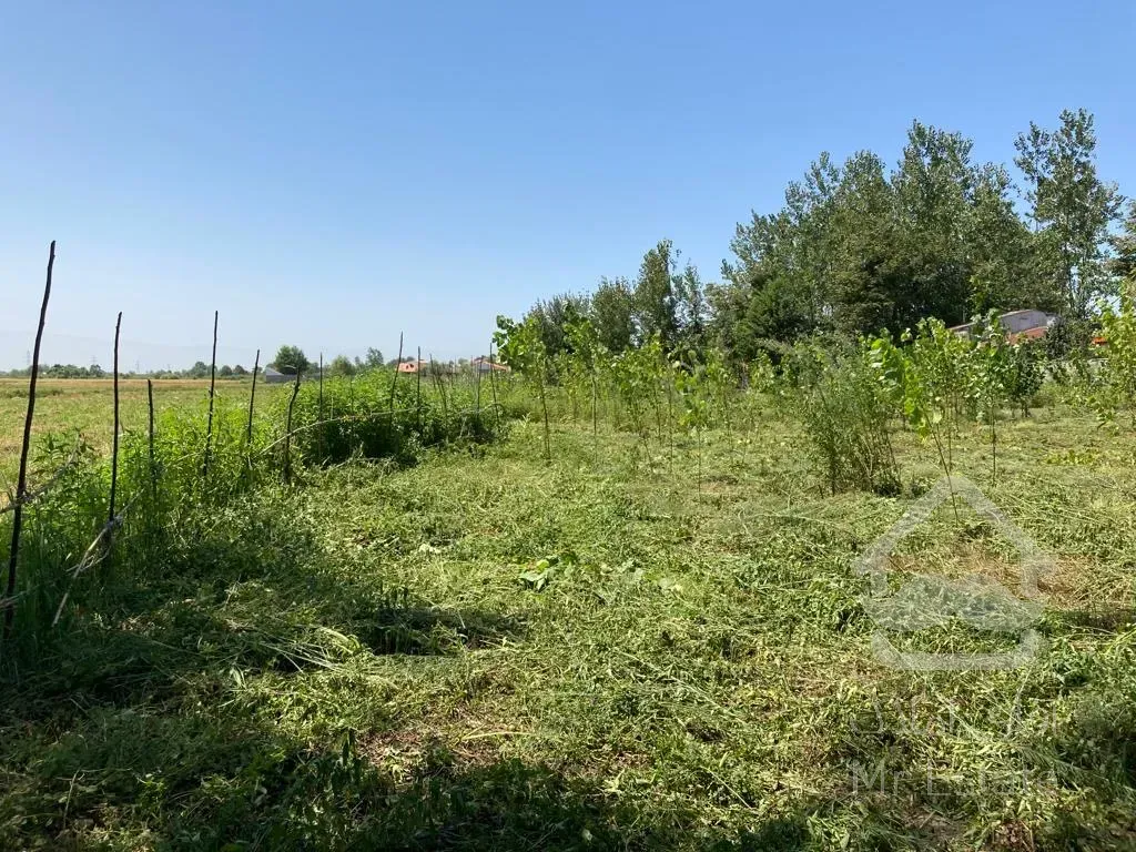 فروش زمین ۱۵۱۰متری در فاصله ی ۱۰دقیقه ی رشت