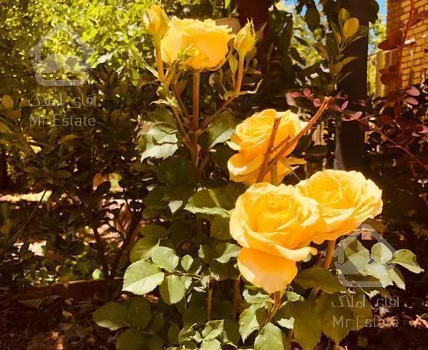 ۱۰۰۰متر باغ  ویلا آبسرد