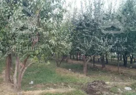 زمین و باغ 360 متری