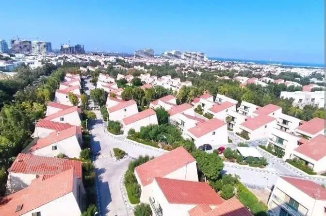 فروش دامون ۶