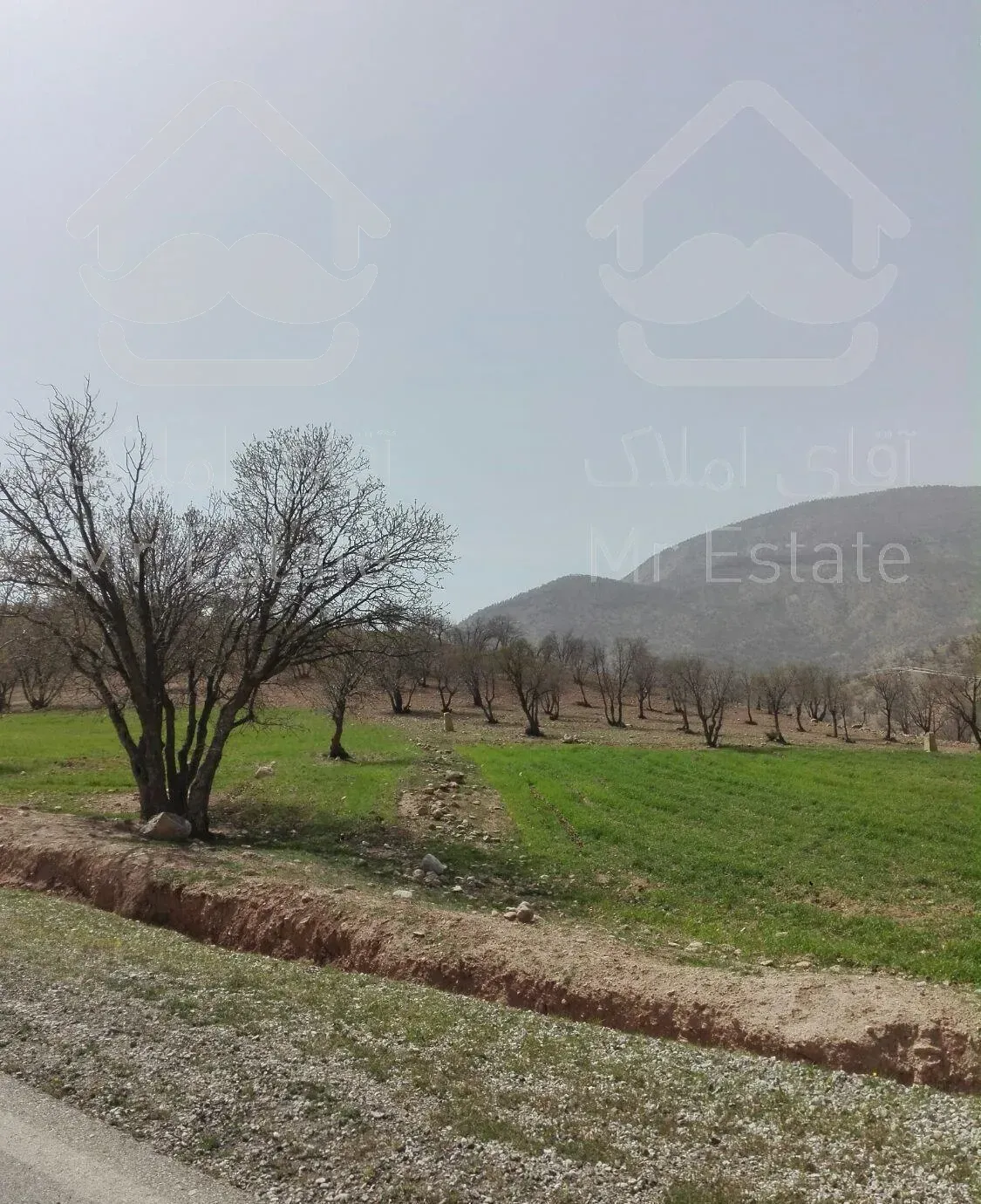 اجاره باغ و ویلا