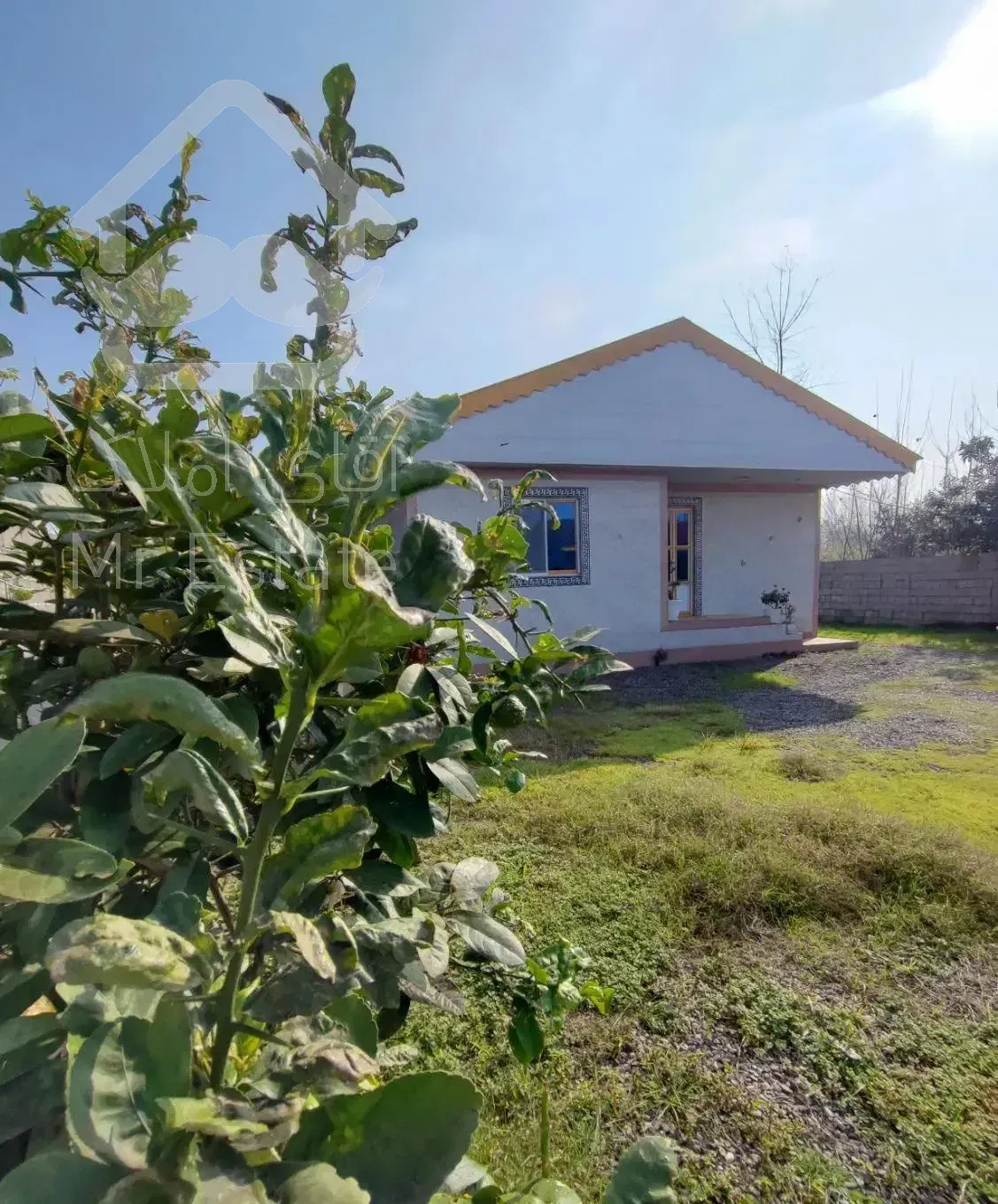 خانه و شالیزار چسب هم /سندتکبرگ منطقه آزاد/۸۳۰۰متر