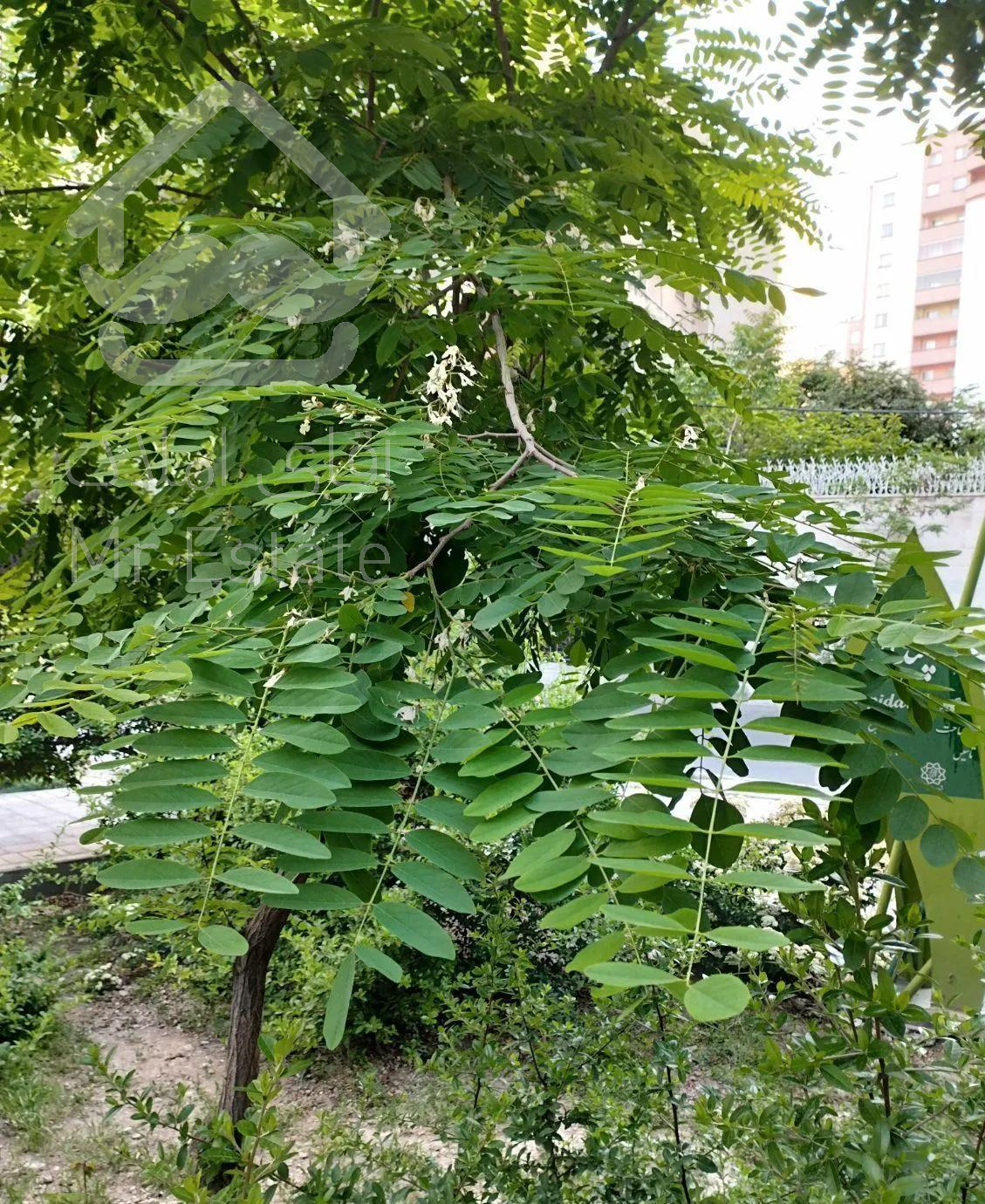 ۹۵ متر شیک و خوش نقشه