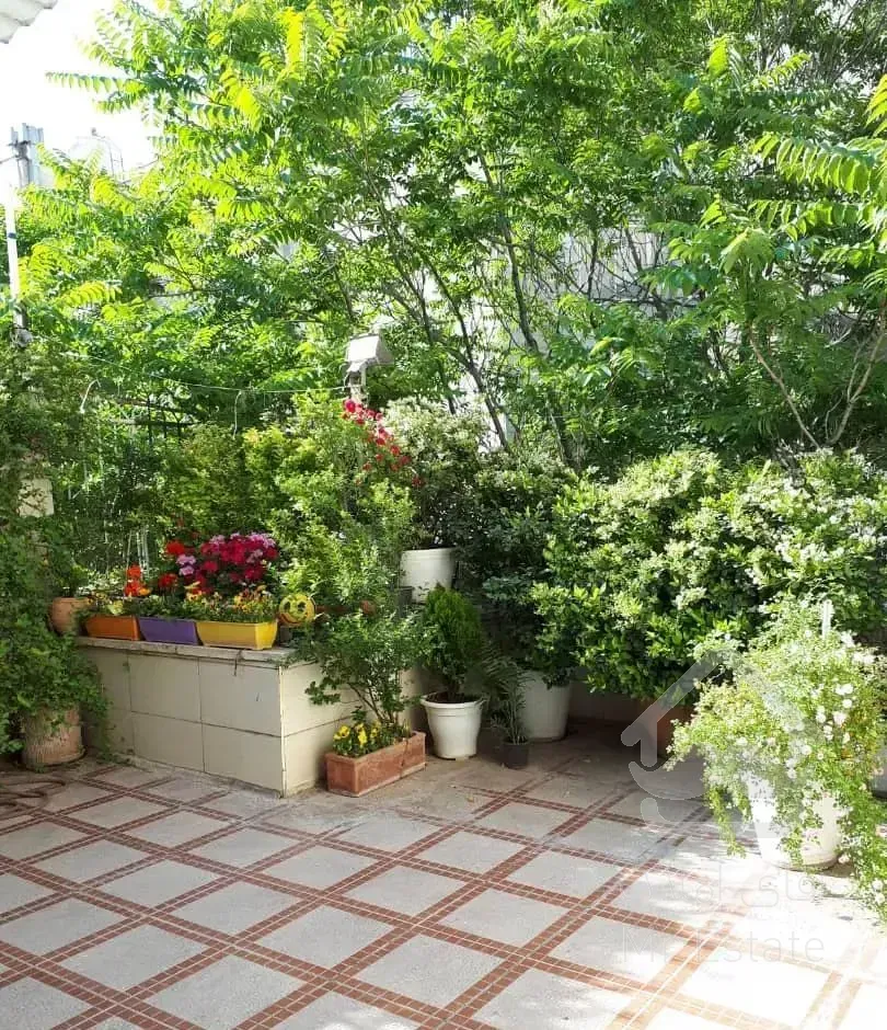 ۲۰۰متر تک واحدی/ شمال ظفر /برای خاص پسندان