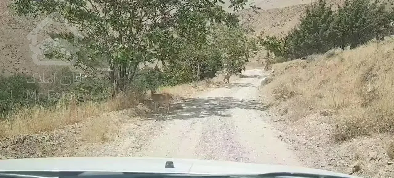 اجاره ۵۴ متر مربع لواسان بالاتر از باستی هیلز