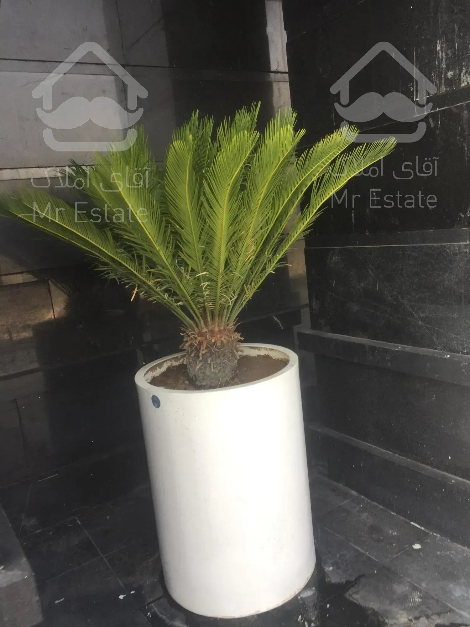 خرید واحد ۵۰ متری اقساطی چیتگر تهران ایران