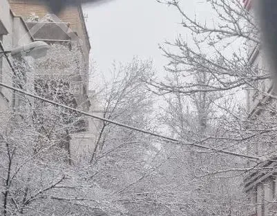 ۸۲ متر حیاط‌دار نارمک سمنگان