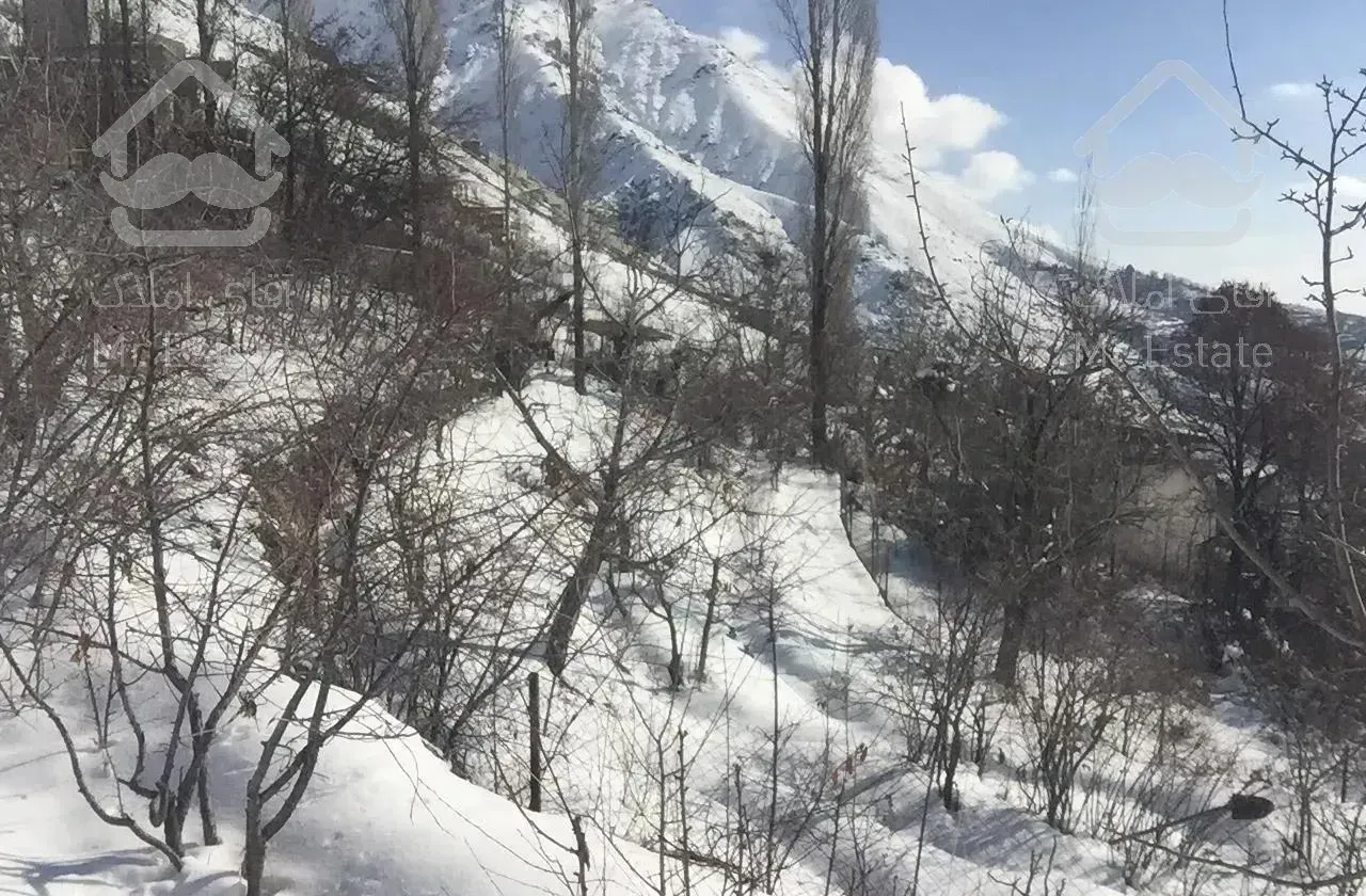 ٣١٠ متر ویلا درامامه