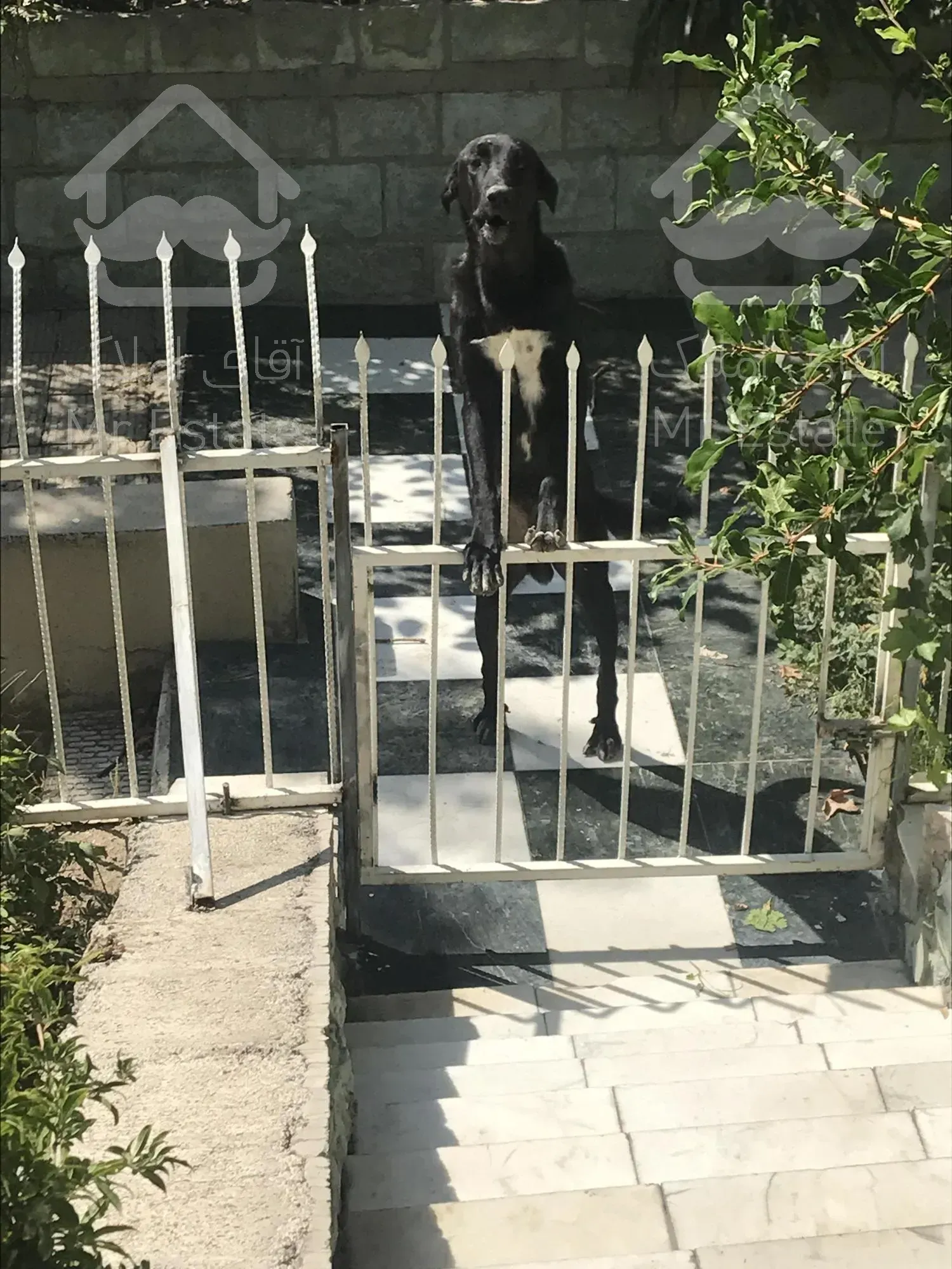 ویلا اداری شهرک غرب۲۶۰متر