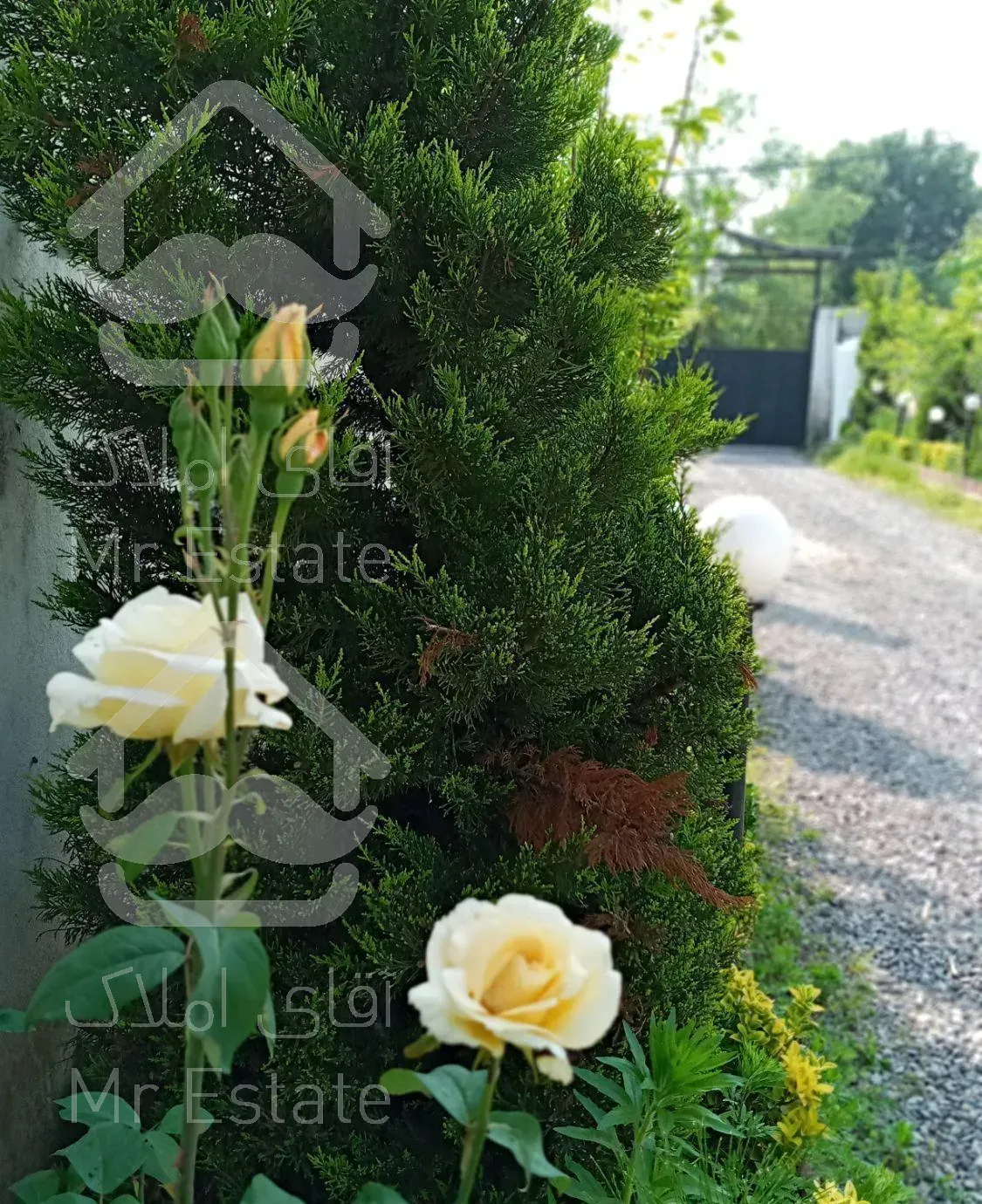 اقامتگاه باغ سالار رشت بامجوزرسمی نوساز