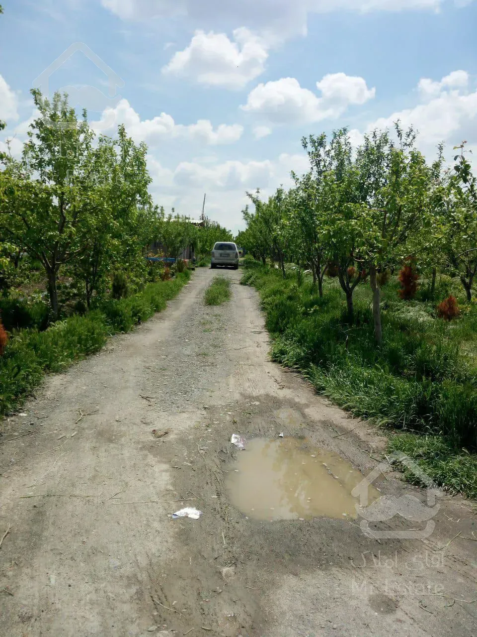 باغ میوه / زمین / باغ ویلا