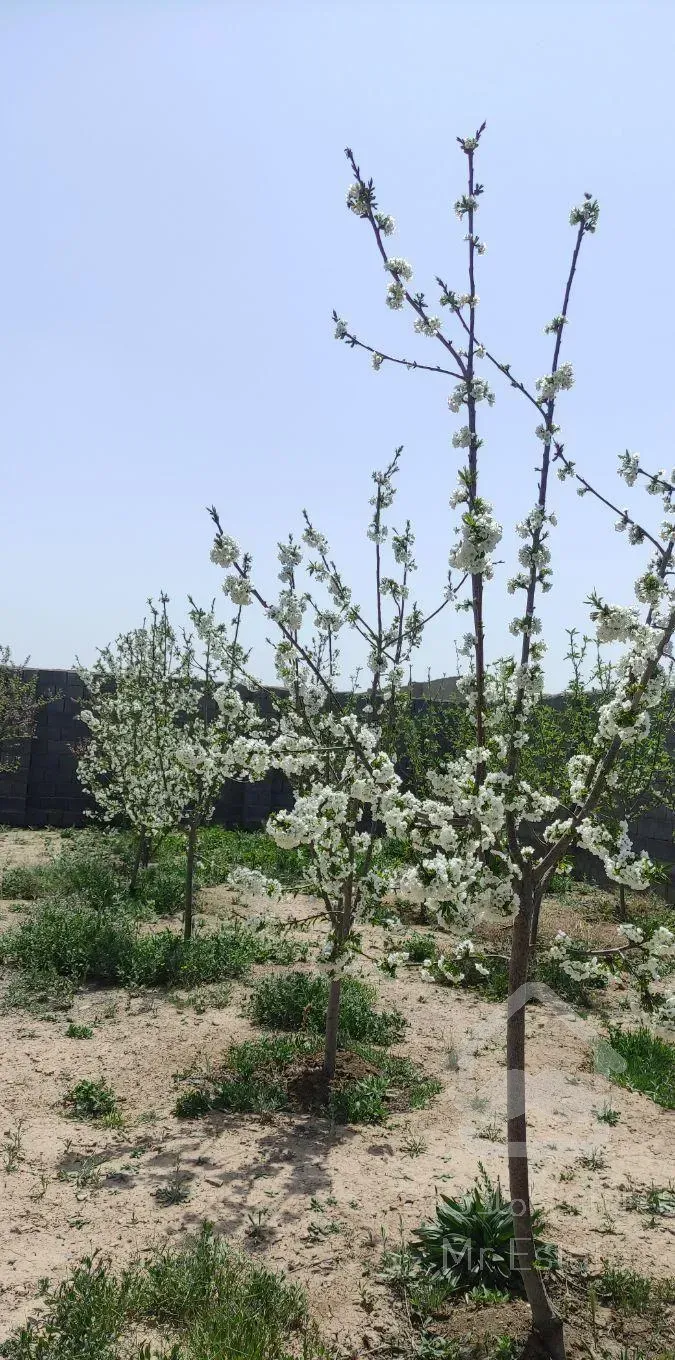 ویلا باغ ۱۱۳۰ متر خواب پذیرایی حمام آشپزخانه