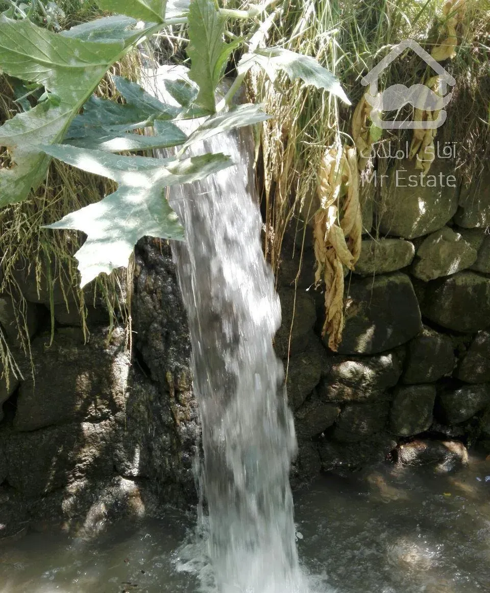 باغ در لواسان بزرگ (ایرا)