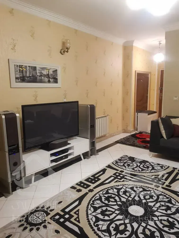 بهار جنوبی /۵۵متر ۱خواب/غرق در نور