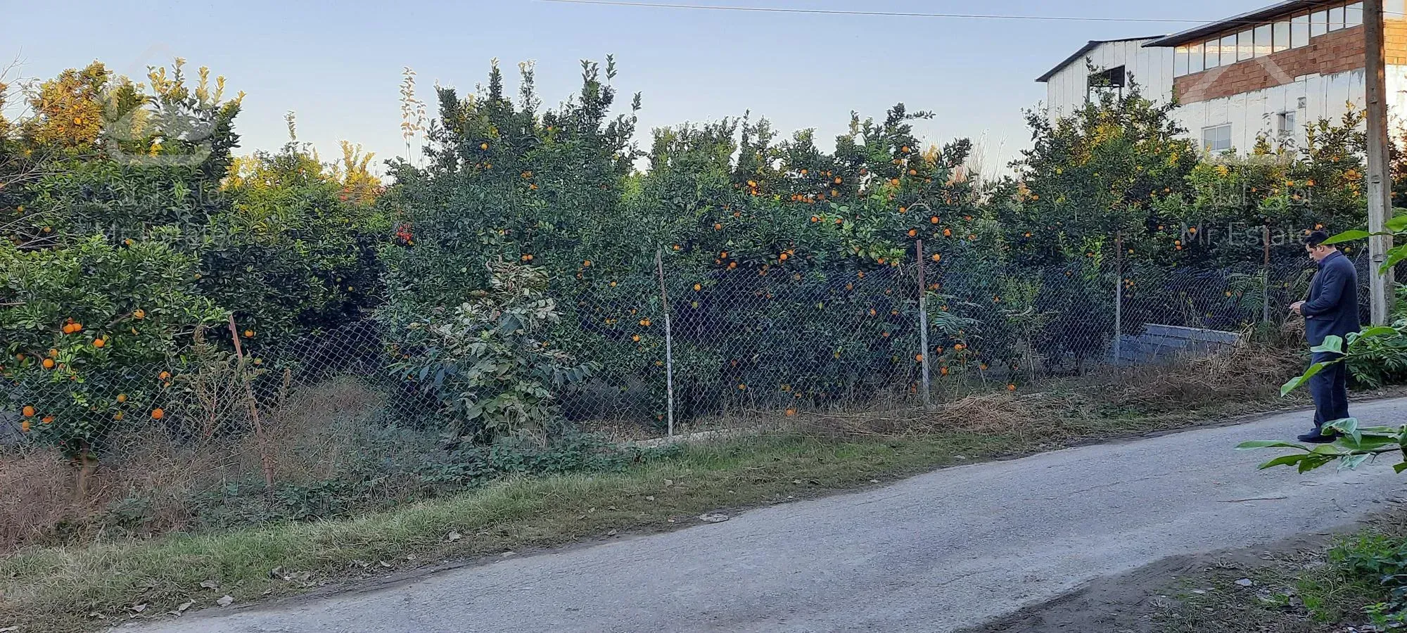 فروش باغچه ،مسکونی