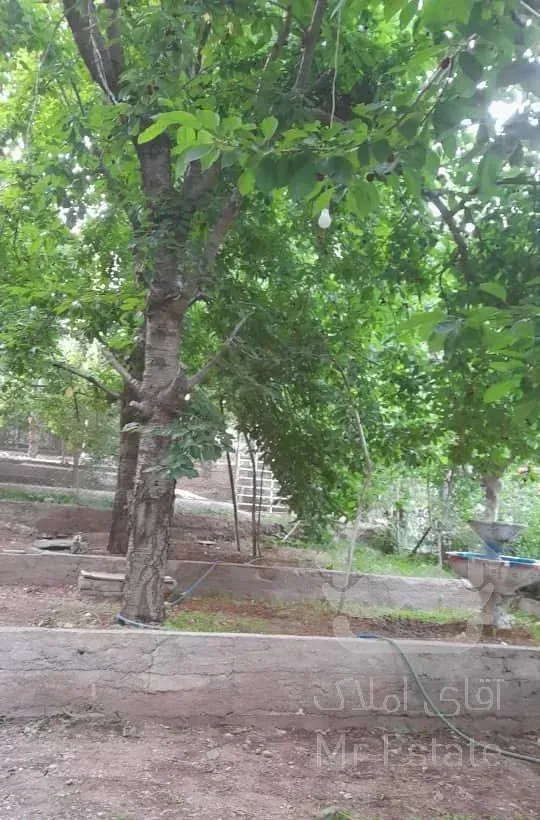 زمین در امامه