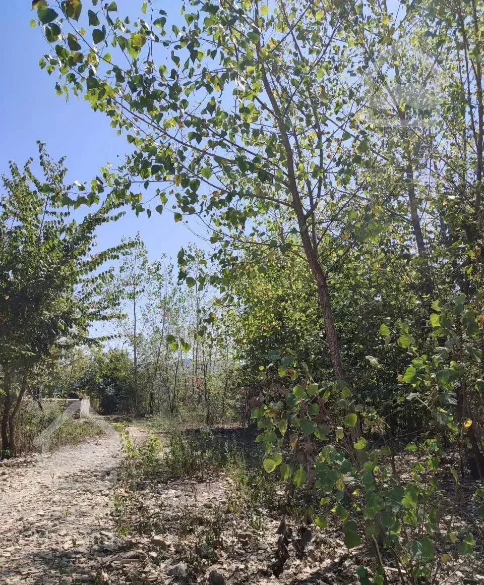 ویلا اجاره   هست فاصله تاسیاهکل 4 کیلومتر