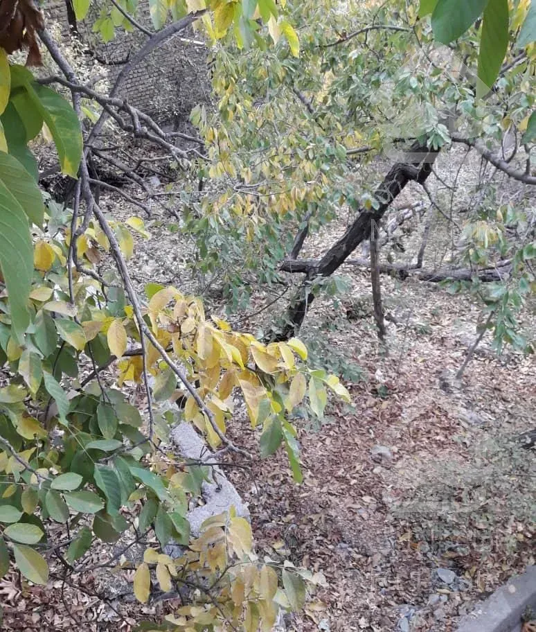 ویلا باغ خوش منظره