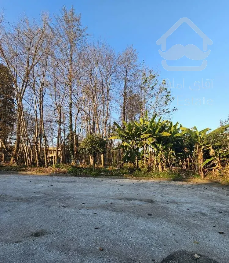 زمین ۸۰۰ متری نزدیک جنگل در شهرک امیردشت