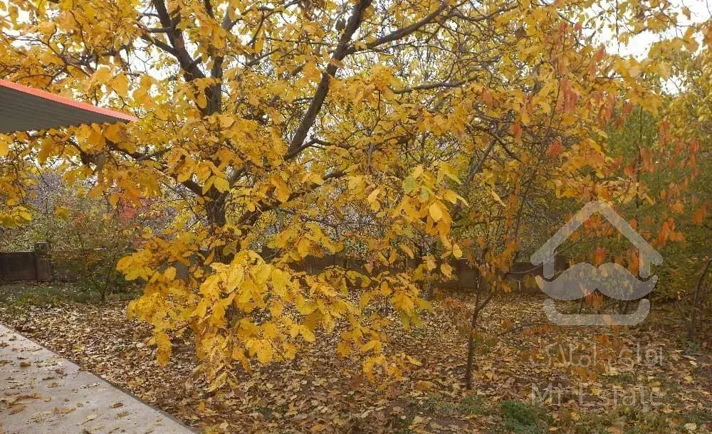 زمین لواسان برگجهان ۴۶۲ متر داخل بافت