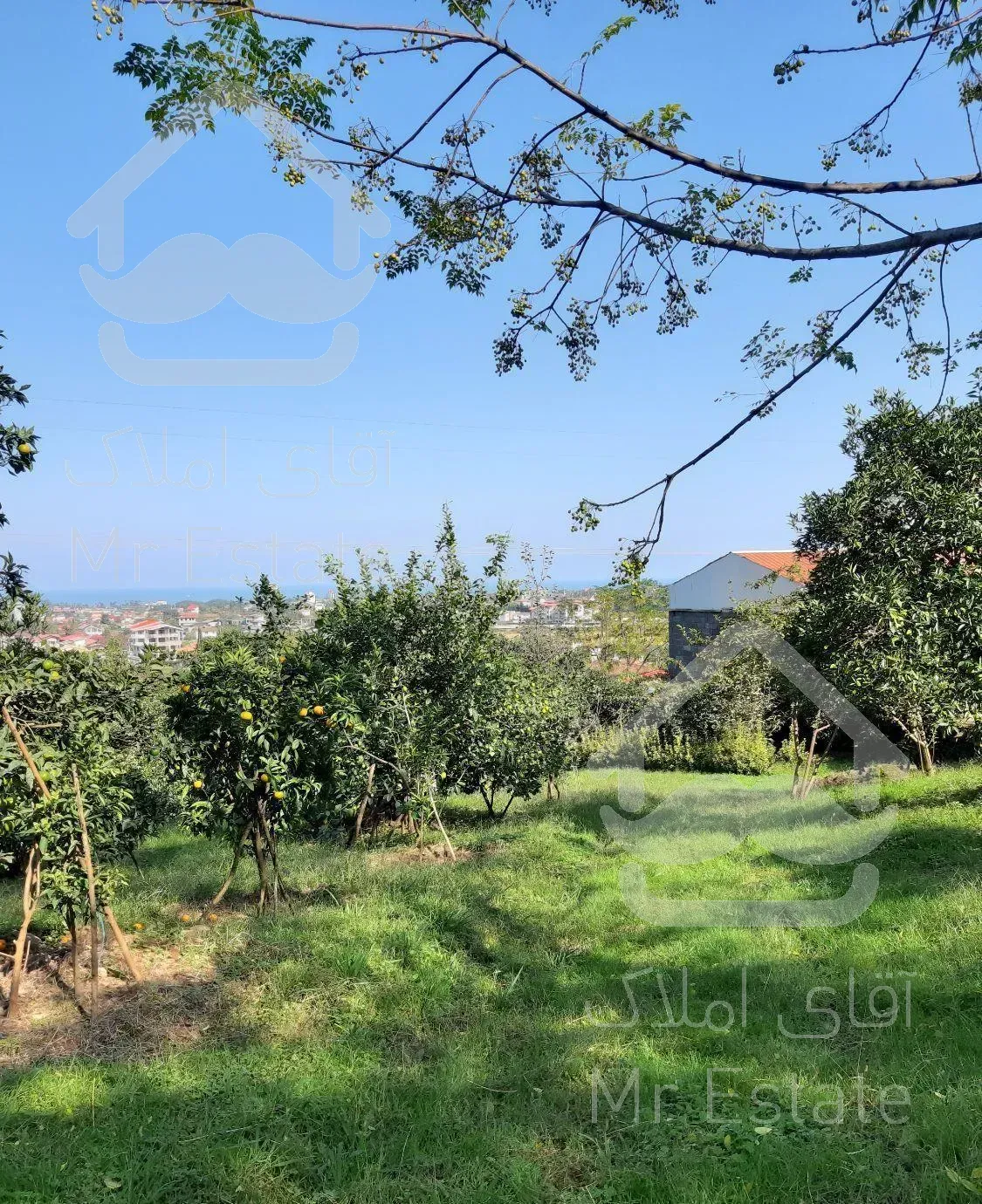 اجاره روزانه ویلای جنگلی ۱۰۰ متری/سرولات چابکسر