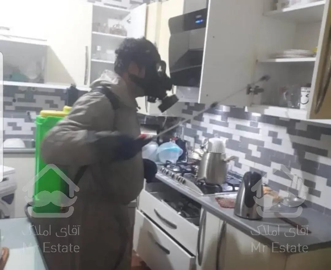 جدیدترین روش نابودی انواع سوسک بدون سم با مجوزو پروانه بهداشتی