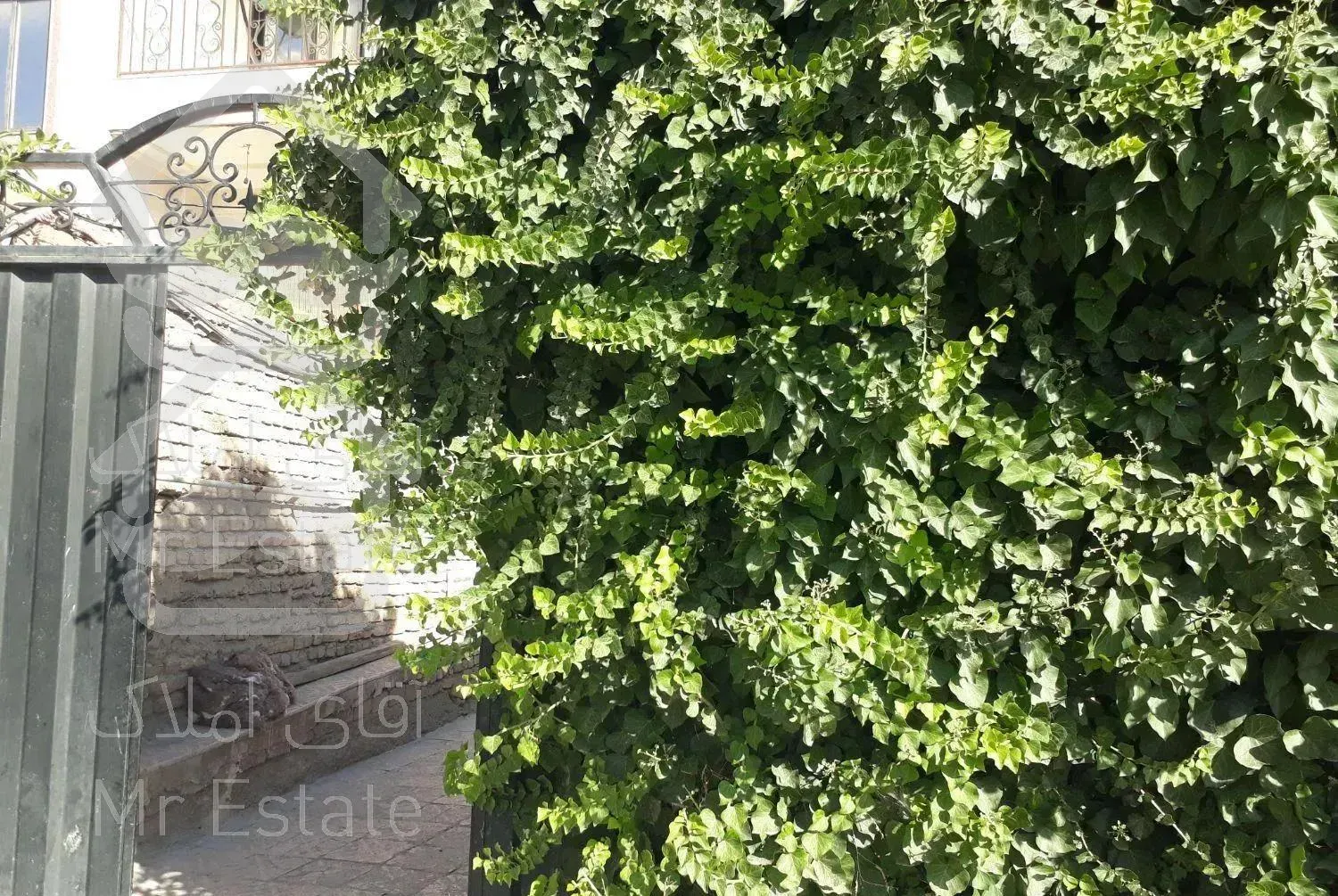 اجاره خانه حیاط دماوندگیلاوندمحک