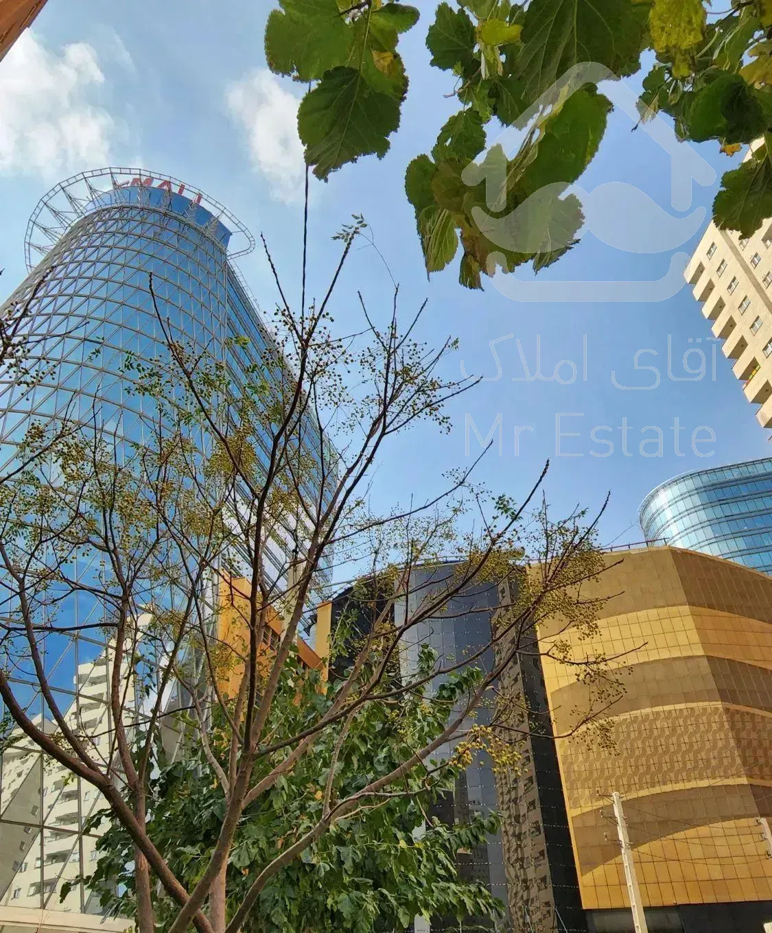 ۱۶۰مترلوکس،درحدکلیدنخورد/پارکینگ تعداد/چیتگردریاچه